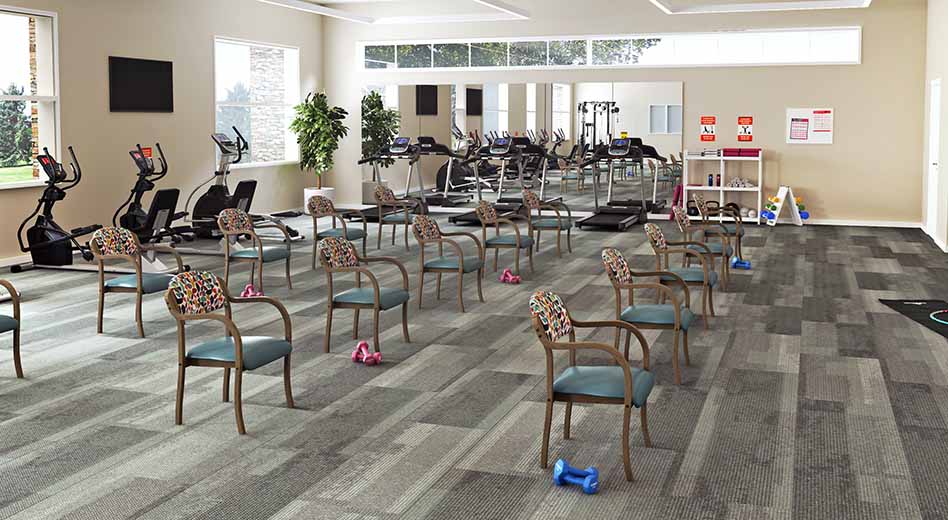 Área de exercícios e terapia para idosos