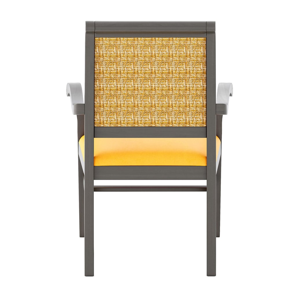 Kingston Bariatric Armchair back